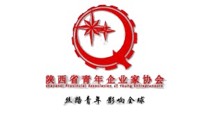 Shaanxi Provincial Association of Young Entrepreneurs